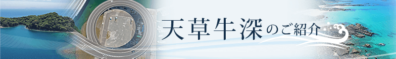 天草牛深のご紹介